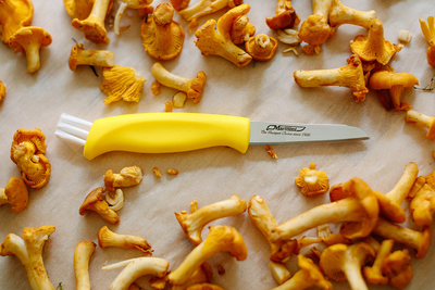 Нож грибной Marttiini Mushroom 185 мм (709012)