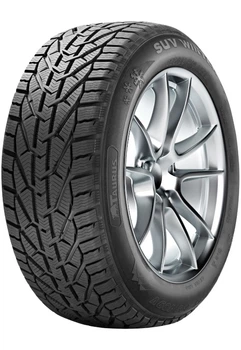 Taurus Winter (275/45R20 110V)