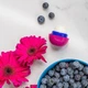 Бальзам для губ EOS Organic Lip Balm Wildberry Лісова ягода (7 г) - зображення 7