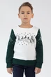 Різдвяний світшот для хлопчика Олені Green 116 UKRS-6614Х UkrGlamour - изображение 1