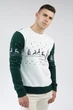 Чоловічий вишитий світшот Олені Green XXL UKRS-9919 UkrGlamour - изображение 7