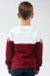 Різдвяний світшот для хлопчика Сніжинка Burgundy 116 UKRS-6615Х UkrGlamour - изображение 4
