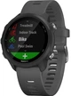 Смарт-часы Garmin Forerunner 245 Slate Gray (010-02120-10) - изображение 1