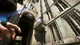 Dishonored 2 (PS4, русская версия) - изображение 4