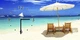 Настінний годинник ART-LIFE COLLECTION W-S-2550-C01-00006-T - зображення 1