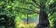 Настінний годинник ART-LIFE COLLECTION W-S-2550-C01-00016-T - зображення 1