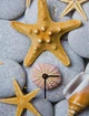 Настінний годинник ART-LIFE COLLECTION W-S-3040-C01-00018-T - зображення 1