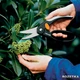 Універсальні ножиці з петлею для пальців Fiskars SP45 (1001533/111450) - зображення 4