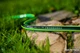 Wąż ogrodowy Cellfast Green ATS2 25 m 3/4" (5901828852480) - obraz 2