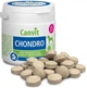 Хондропротектор Canvit Chondro для собак ±210 таблеток (can50730) - изображение 2