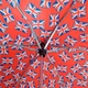 Зонт женский механический Incognito-4 L412 Union Jack Flags - изображение 2