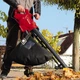 Садовый пылесос Einhell GC-EL 2500 E (3433300) - изображение 5