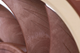 Вентилятор Noctua NF-A12x25 PWM - изображение 7