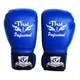 Боксерские перчатки Thai Professional BG3 (12oz) Синие - изображение 2