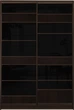 Шкаф купе Luxe Studio Стандарт-3 Цветной комбинированный фасад-18 1100x2200x450 двухдверный (96456) - изображение 1
