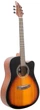 Гітара акустична Flycat C200 CS - зображення 2