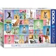 Пазл Eurographics Йога. Собаки 1000 элементов (6000-0954) - изображение 1