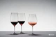 Набір келихів для червоного вина Riedel Veritas Pinot Noir 790 мл х 2 шт. (6449/67) - зображення 4