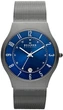 Часы Skagen 233XLTTN - изображение 1