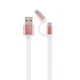 Дата кабель USB 2.0 AM to Lightning/Micro 1.0m Cablexpert (CC-USB2-AM8PmB-1M-PK) - изображение 1