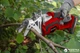 Садова обрізна пила Einhell X-Change GE-GS 18 Li - Solo (3408220) - зображення 4