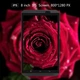 Планшет Yuntab H8 8"IPS 1280*800 4G LTE 2/16Gb Black - изображение 7