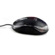 Мишка Esperanza Titanum TM102K Black - зображення 3