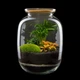 Декоративный флорариум в банке с живыми растениями&nbsp;MossGarden Ф3 - изображение 1