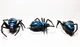 Насекомое Паук на батарейках , мини-робот, интерактивная игрушка "Crazy insect - изображение 3