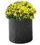 Горшок для цветов Keter Cylinder Planter M Серый (7290103668211) - изображение 1