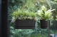 Вазон Elho Greenville Plant Hanger Single 27 см Граніт (349752) - зображення 9
