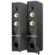 Акустическая система F&D T-88X Black - изображение 1