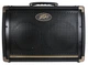 Комбоусилитель PEAVEY Ecoustic E208 Acoustic Amp Combo - изображение 4