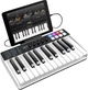 MIDI-клавиатура IK Multimedia iRig Keys I/O 25 - изображение 3