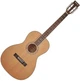 Гитара акустическая Richwood RV-70-NT blues guitar (17-5-36-8) - изображение 1