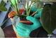 Садові рукавички із кігтями пластиковими наконечниками Garden Gloves - зображення 4
