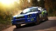 Dirt Rally (PS4, русская версия) - изображение 6