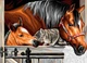 Набір для творчості Sequin Art Painting by numbers Senior Stable Dooor Trio 38х29 см (SA1523) - зображення 1