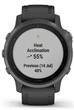 Спортивные часы Garmin Fenix 6S Sapphire Black with Black Band - изображение 2