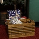 Дерев'яний ящик Gom-light brown (deco-gom-light-brown) TARLINI home - зображення 2