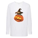 Лонгслив реглан Хелловин 0001 (Halloween) белый (HAL wh 0001) 128 см - изображение 1