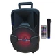 Портативная беспроводная акустическая система ALP-801 Bluetooth колонка чемодан с микрофоном 1800mA Black (ALP-801) - изображение 1