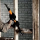 Інструмент для знесення Fiskars Pro IsoCore L (1027221) - зображення 4