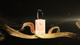 Woda perfumowana damska Giorgio Armani Si 100 ml (3605521816658) - obraz 3