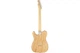 Электрогитара FENDER JIMMY PAGE TELECASTER RW NAT - изображение 2