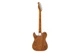 Електрогітара FENDER CUSTOM SHOP ARTISAN THINLINE TELE LTD - зображення 2