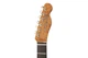 Електрогітара FENDER CUSTOM SHOP ARTISAN THINLINE TELE LTD - зображення 4