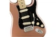 Електрогітара FENDER AMERICAN PERFORMER STRATOCASTER MN PENNY - зображення 4