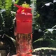 Шейкер спортивний (пляшка) BlenderBottle SportMixer Flip 28oz/820ml Coral - изображение 7