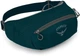 Сумка на пояс Osprey Daylite Waist Petrol Blue (009.2104) - изображение 1